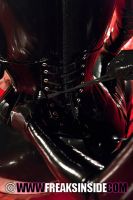 freaksinside215tgp09.jpg