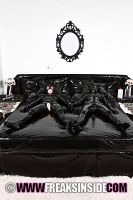 freaksinside240tgp16.jpg